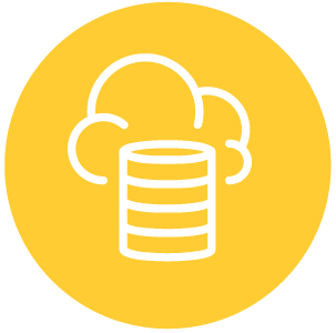 Data collection icon