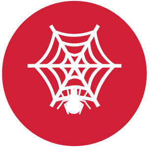 Web crawlers icon