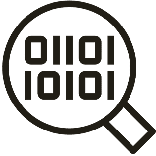 Solution icon
